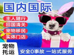 三亚航空运输国际宠物托运 【国